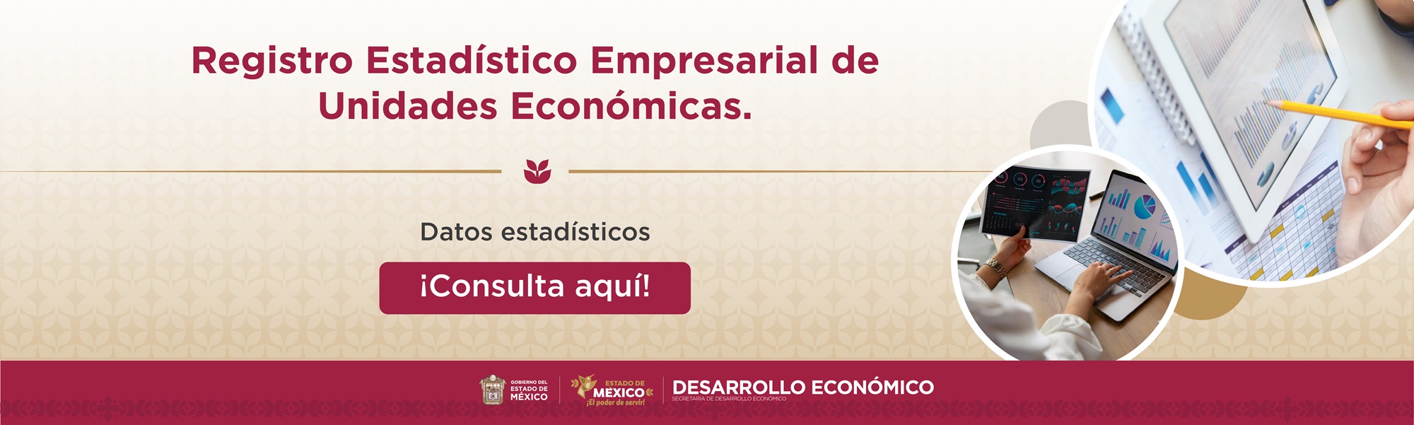 Unidades Económicas